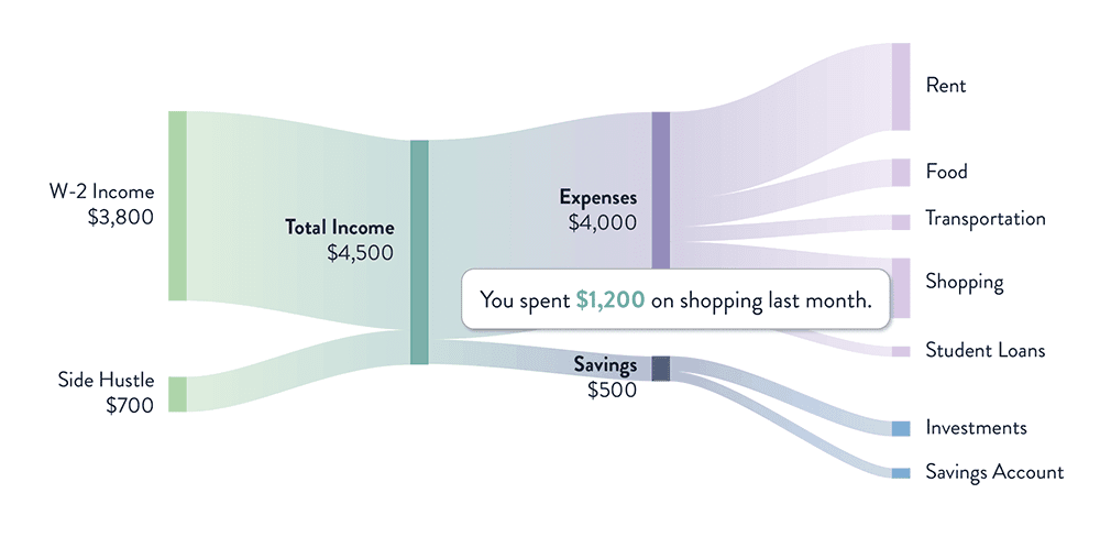 Cash flow visualization